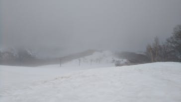 Hakuba47ウィンタースポーツパークに投稿された画像（2022/4/15）