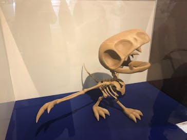 国立科学博物館　特別企画展「ポケモン化石博物館」に投稿された画像（2022/4/15）