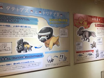 国立科学博物館　特別企画展「ポケモン化石博物館」に投稿された画像（2022/4/15）