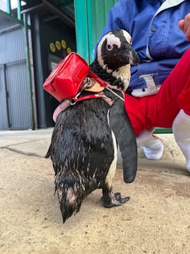 東北サファリパークに投稿された画像（2022/4/15）