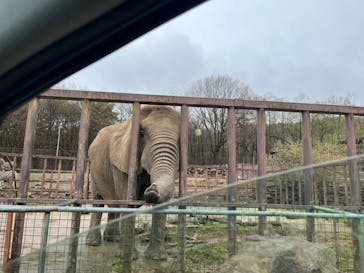 東北サファリパークに投稿された画像（2022/4/15）