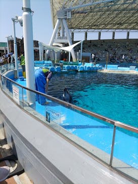 名古屋港水族館に投稿された画像（2022/4/16）