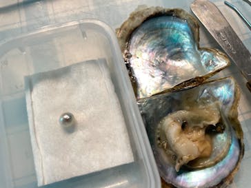 しながわ水族館に投稿された画像（2022/4/16）