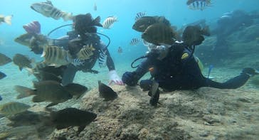 武藤潜水に投稿された画像（2022/4/16）