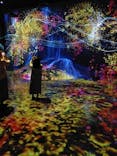 森ビル デジタルアート ミュージアム：エプソン チームラボボーダレスに投稿された画像（2022/4/16）