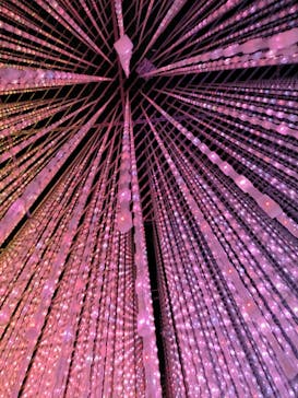 森ビル デジタルアート ミュージアム：エプソン チームラボボーダレスに投稿された画像（2022/4/16）