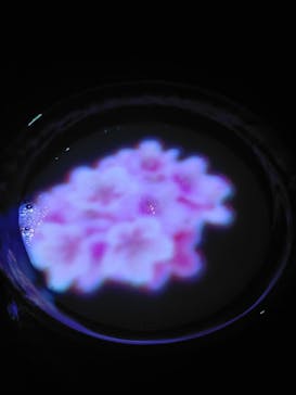 森ビル デジタルアート ミュージアム：エプソン チームラボボーダレスに投稿された画像（2022/4/16）