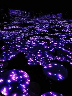 森ビル デジタルアート ミュージアム：エプソン チームラボボーダレスに投稿された画像（2022/4/16）