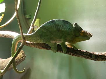 カワスイ 川崎⽔族館に投稿された画像（2022/4/16）