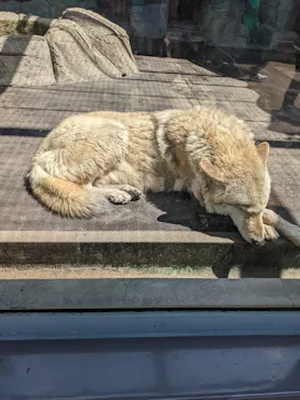 天王寺動物園に投稿された画像（2022/4/16）