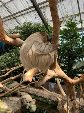 神戸どうぶつ王国に投稿された画像（2022/4/16）