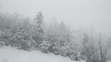 志賀高原マウンテンリゾートに投稿された画像（2022/4/16）