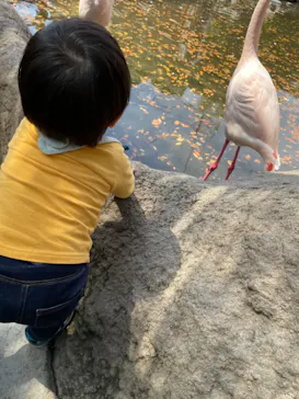 神戸どうぶつ王国に投稿された画像（2022/4/16）