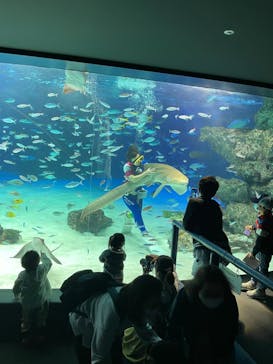 サンシャイン水族館に投稿された画像（2022/4/16）