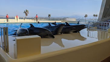 マリンワールド海の中道に投稿された画像（2022/4/16）