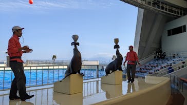 マリンワールド海の中道に投稿された画像（2022/4/16）