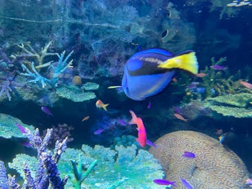 サンシャイン水族館に投稿された画像（2022/4/16）