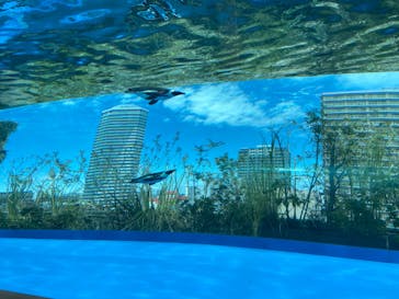 サンシャイン水族館に投稿された画像（2022/4/16）