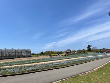 淡路ファームパーク イングランドの丘に投稿された画像（2022/4/16）