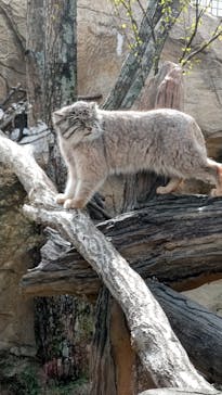 那須どうぶつ王国に投稿された画像（2022/4/16）