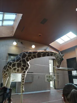 天王寺動物園に投稿された画像（2022/4/16）
