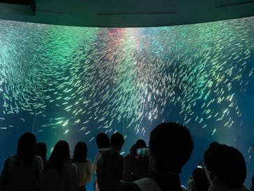 名古屋港水族館に投稿された画像（2022/4/16）