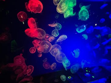 名古屋港水族館に投稿された画像（2022/4/16）