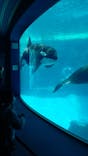 名古屋港水族館に投稿された画像（2022/4/16）