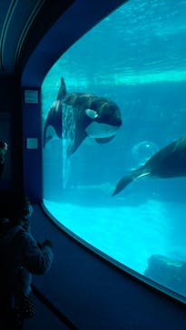 名古屋港水族館に投稿された画像（2022/4/16）