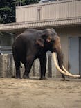 横浜市立金沢動物園に投稿された画像（2022/4/16）