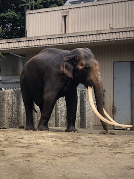 横浜市立金沢動物園に投稿された画像（2022/4/16）