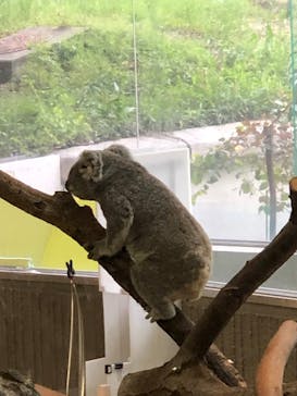 横浜市立金沢動物園に投稿された画像（2022/4/16）