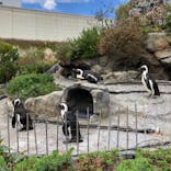 サンシャイン水族館に投稿された画像（2022/4/16）