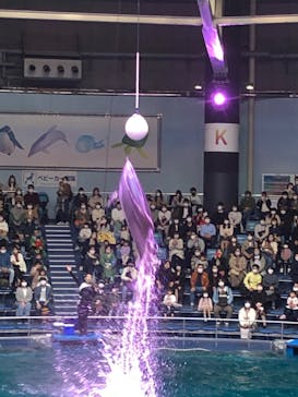 マクセル アクアパーク品川に投稿された画像（2022/4/16）