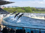 京都水族館に投稿された画像（2022/4/16）