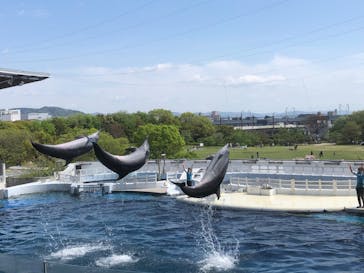 京都水族館に投稿された画像（2022/4/16）