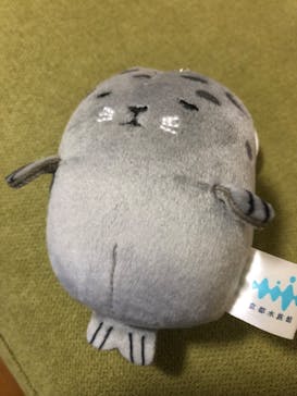 京都水族館に投稿された画像（2022/4/16）