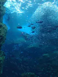 仙台うみの杜水族館に投稿された画像（2022/4/16）