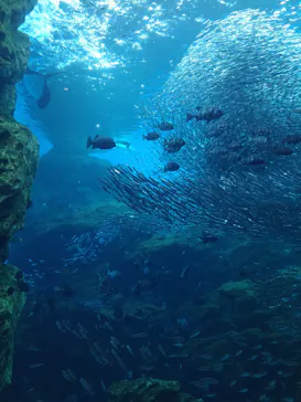 仙台うみの杜水族館に投稿された画像（2022/4/16）