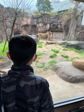 天王寺動物園に投稿された画像（2022/4/16）