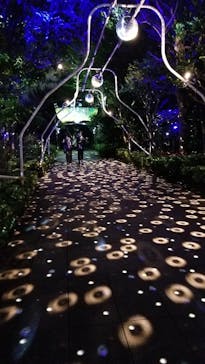 江の島シーキャンドルに投稿された画像（2022/4/16）