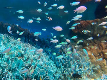 サンシャイン水族館に投稿された画像（2022/4/16）