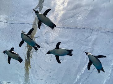 サンシャイン水族館に投稿された画像（2022/4/16）