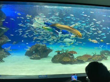 サンシャイン水族館に投稿された画像（2022/4/16）