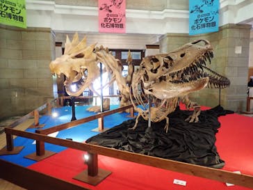 国立科学博物館　特別企画展「ポケモン化石博物館」に投稿された画像（2022/4/16）