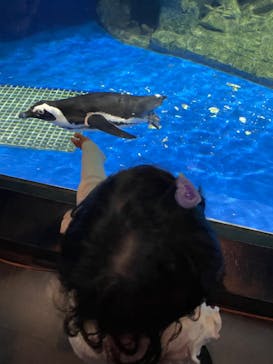 マクセル アクアパーク品川に投稿された画像（2022/4/16）