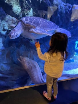 マクセル アクアパーク品川に投稿された画像（2022/4/16）