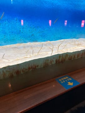 大分マリーンパレス水族館 「うみたまご」に投稿された画像（2022/4/16）