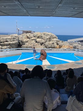 大分マリーンパレス水族館 「うみたまご」に投稿された画像（2022/4/16）