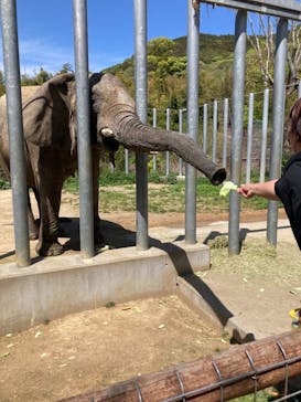 しろとり動物園に投稿された画像（2022/4/16）